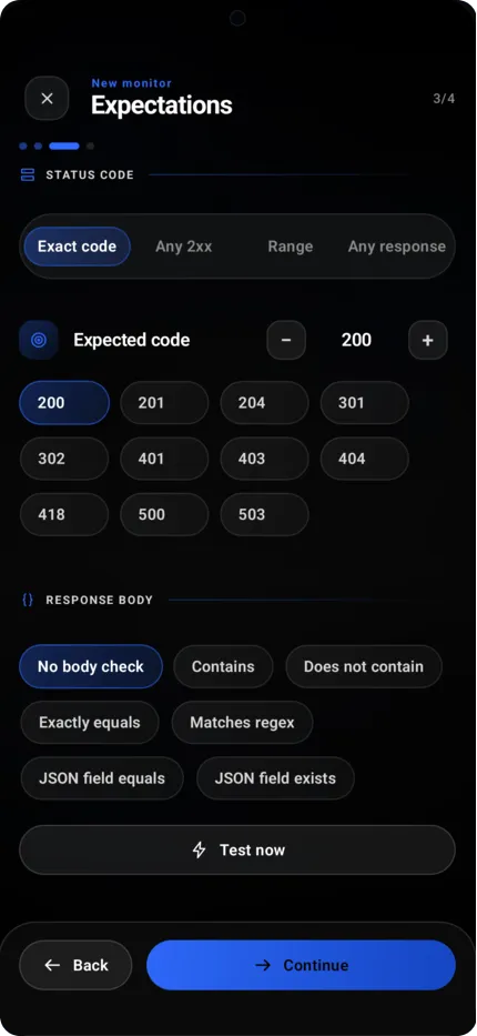 Step three: status code modes with Exact code selected, an expected code of 200 with a grid of common codes, six response body assertions with No body check selected, and a Test now button.